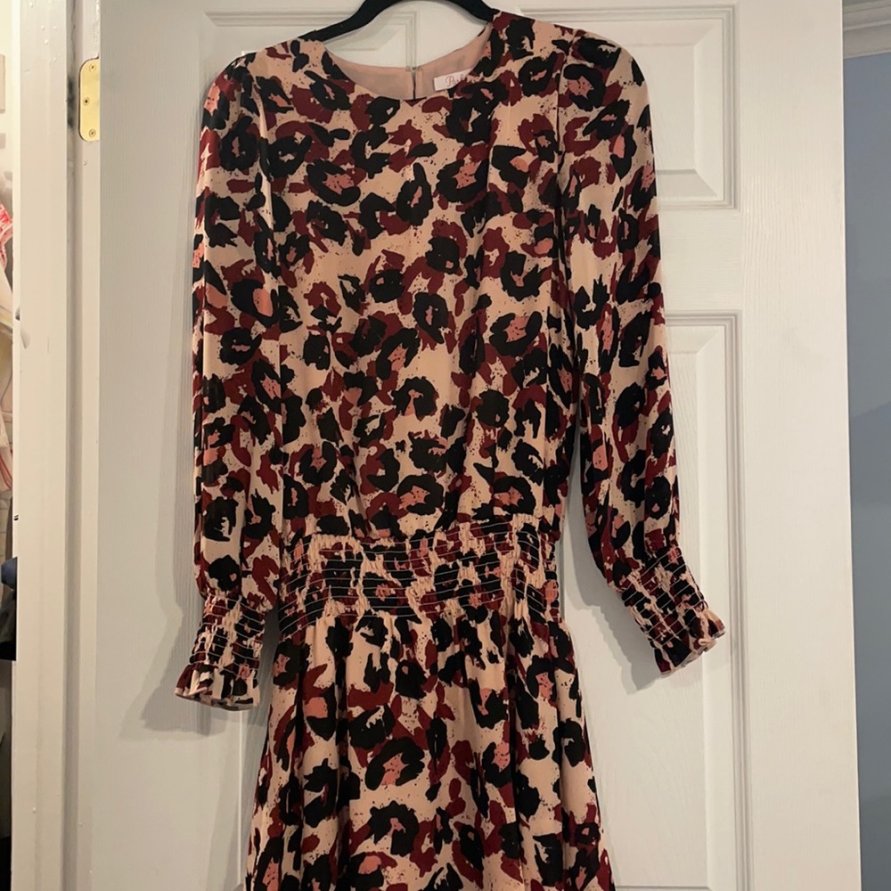 Parker drop waist cheetah dress